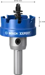 BoschEXPERT 金属板轴孔锯，直径 42 毫米。.